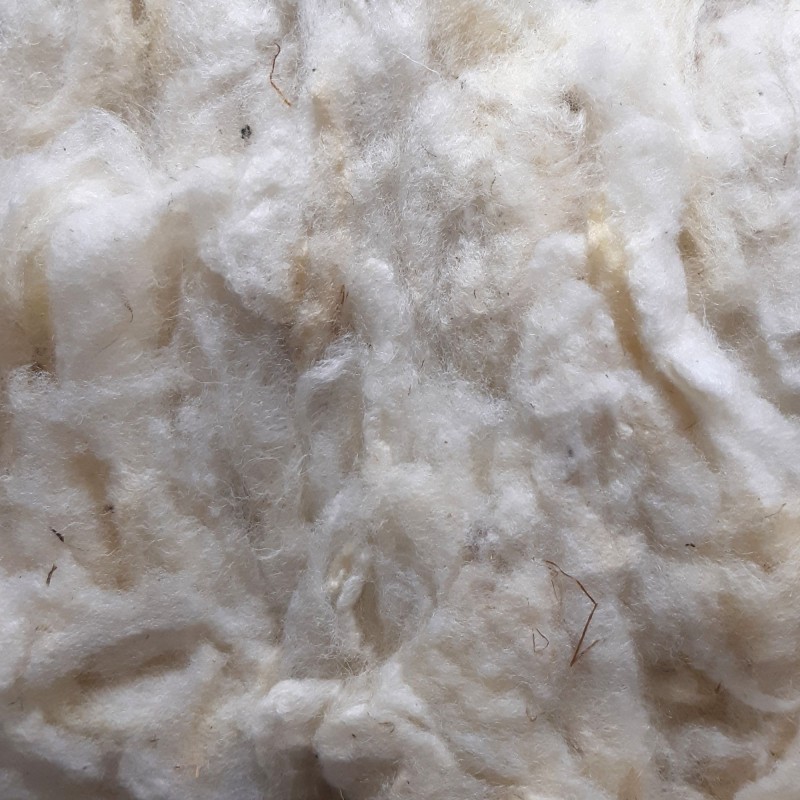 Vrac de laine lavée - Moutons du Massif central - Terre de Laine