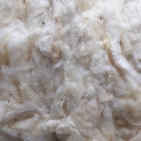 Vrac de laine lavée - Moutons du Massif central - Terre de Laine