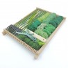 Kit de tissage tendance verte